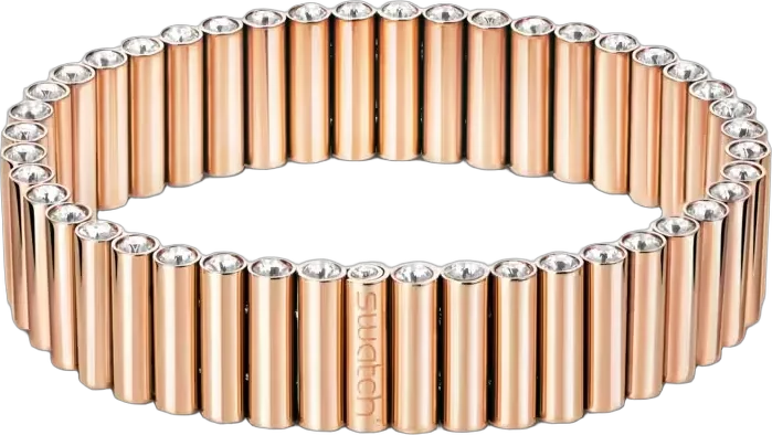 Pulsera Swatch (Bijoux)