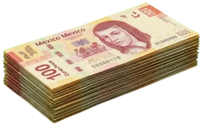 $1,000 en efectivo