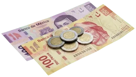 $250 para comida