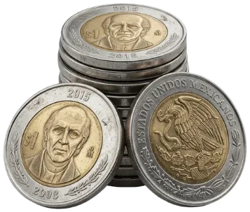 $5 en efectivo