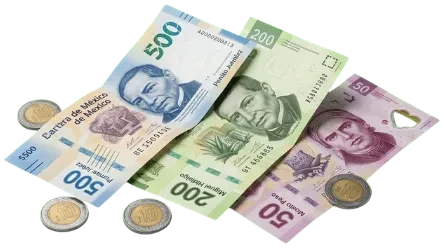 $800 en efectivo